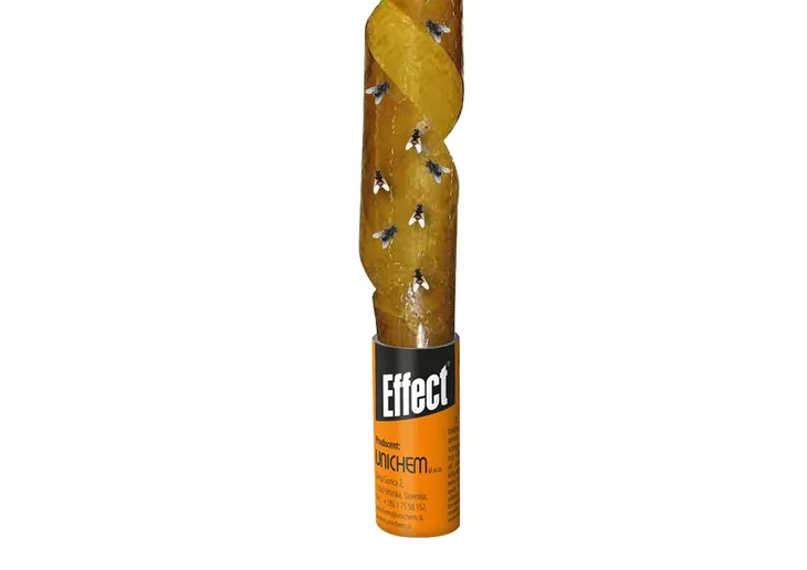 lep-na-muchy-w-rolce-maly-5-cm-effect-rodzaj-lep