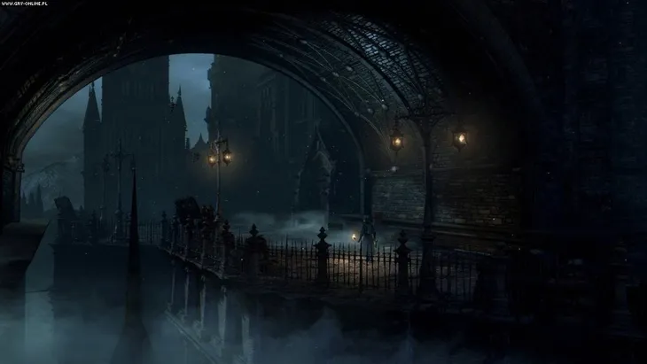 gra-bloodborne-ps4-waga-z-opakowaniem-0-082-kg