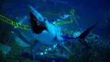 maneater-xbox-one-pudelkowa