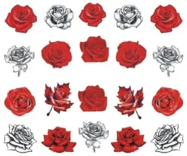 naklejki-wodne-na-paznokcie-ozdoby-kwiaty-roze-q158