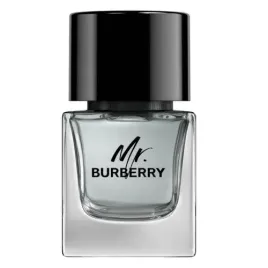 burberry-mr-burberry-edt-50ml