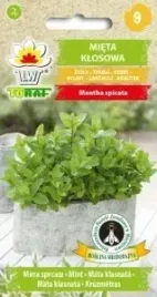 mieta-klosowa-nasiona-01-g-ziola