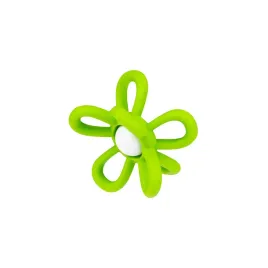 grzechotka-kwiatek-zielona