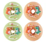 chlapu-chlap-zestaw-kul-do-kapieli-dino-donuts-strawberry-marshmallow-4-szt-stan-nowy