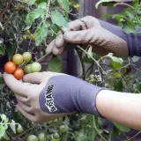 rostaing-rekawice-oneforall-8-stan-nowy