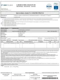 ostrovit-witamina-b-complex-90-tabletek-cechy-weganskie