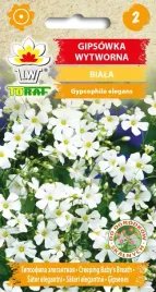 gipsowka-wytworna-biala-nasiona-kwiatow-1g-toraf