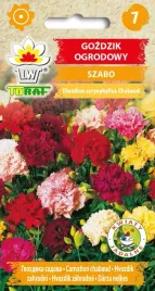 gozdzik-ogrodowy-szabo-nasiona-kwiatow-05g-toraf