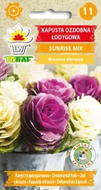 kapusta-ozdobna-sunrise-nasiona-kwiatow-10szt-toraf