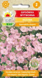 gipsowka-wytworna-rozowa-nasiona-kwiatow-1g-toraf