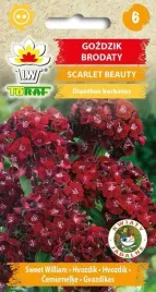 gozdzik-brodaty-scarlet-beauty-nasiona-05g-toraf