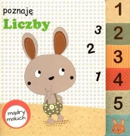 poznaje-liczby-madry-maluch-praca-zbiorowa