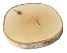szlifowane-plastry-drewna-brzoza-10-12-cm-srednicy