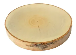 szlifowane-plastry-drewna-brzoza-15cm-srednicy
