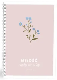 moj-dziennik-milosc-nigdy-nie-ustaje