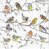serwetka-do-decoupage-33x33cm-ptaszki