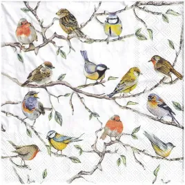 serwetka-do-decoupage-33x33cm-ptaszki