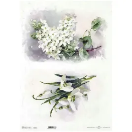papier-ryzowy-do-decoupage-a3-przebisniegi-zawilce