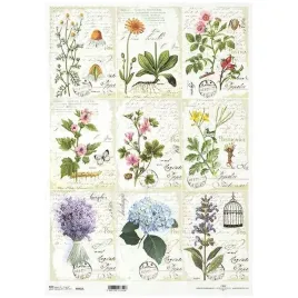papier-ryzowy-decoupage-a3-922l-ziola-herbarium