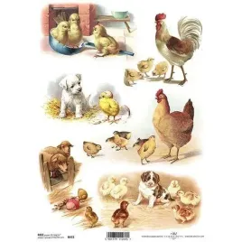 papier-ryzowy-do-decoupage-r472-a4-kura-kurczeta