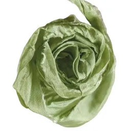 wstazka-vintage-old-fashion-ribbon-jasna-oliwka