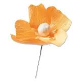 wykrojnik-sizzix-thinlits-california-poppy-mak-rodzaj-wykrojniki