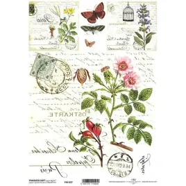papier-do-transferu-soft-a4-t40-027