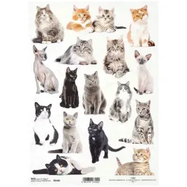 papier-ryzowy-do-decoupage-a4-itd-r2146-koty