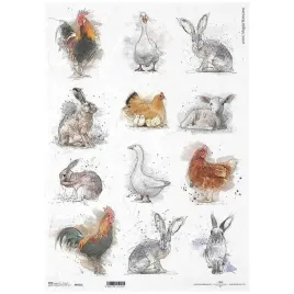 papier-ryzowy-do-decoupage-a3-r532l-kogut-kura