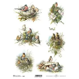papier-ryzowy-do-decoupage-a4-r857-ptaki-gniazda