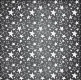 papier-do-scrapbookingu-30x30-reminisce-stan-nowy