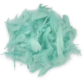 piorka-dekoracyjne-6-12cm-10g-mietowe-loveart