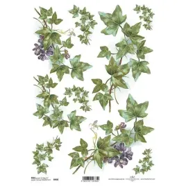 papier-ryzowy-a4-do-decoupage-itd-r0970-bluszcz