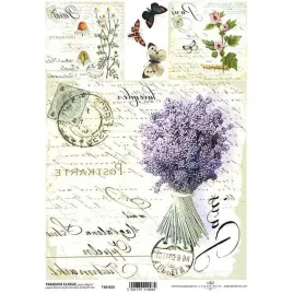 papier-do-transferu-classic-a4-t60-023-wrzos-laka