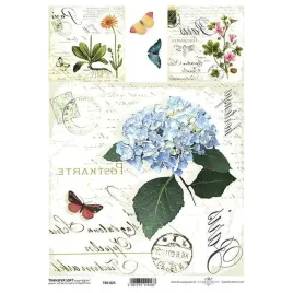 papier-do-transferu-soft-a4-kwiaty-hortensja