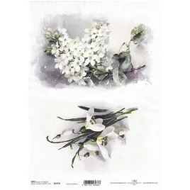 papier-ryzowy-do-decoupage-a4-przebisniegi-zawilce