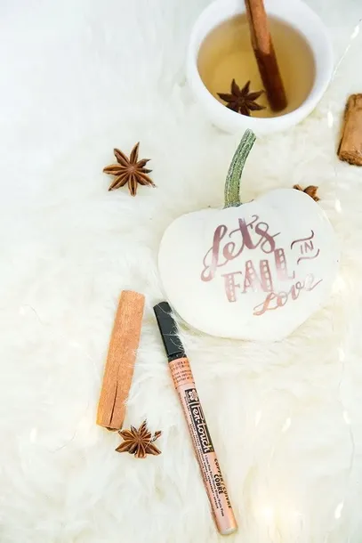 pisak-pen-touch-medium-copper-2mm-miedziany-sakura-grubosc-2-mm
