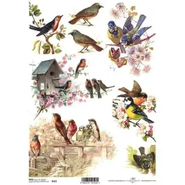 papier-ryzowy-do-decoupage-r325-ptaszki