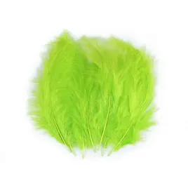 piorka-dekoracyjne-strusie-limonkowe-9-16cm-20szt