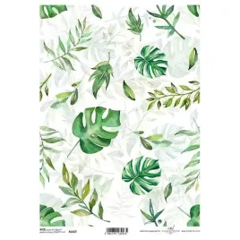 papier-ryzowy-do-decoupage-r1417-liscie-monstera