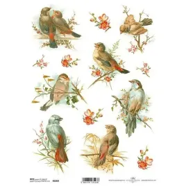 papier-ryzowy-do-decoupage-a4-itd-r1069-ptaszki