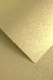 papier-ozdobny-a4-olympia-220g-20szt-galeria-papieru-zloty