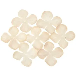kwiaty-platki-hortensje-ciemne-ivory-50mm-100szt