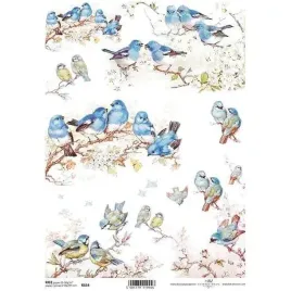 papier-ryzowy-do-decoupage-a4-ptaki