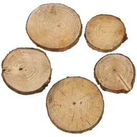 plastry-drewna-40g-5-6szt-drewniane-krazki