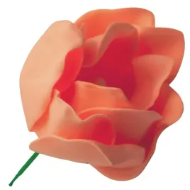 magnolia-pik-pianka-10-pl-08-light-coral