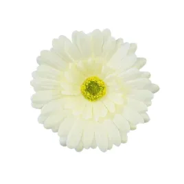gerbera-sat-kremowa-glowka-wyrobowa-3-szt