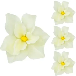 magnolia-glowka-wyrobowa-ozdobna-kremowa-3-szt