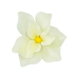 magnolia-glowka-wyrobowa-ozdobna-kremowa