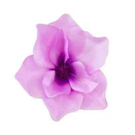 magnolia-glowka-wyrobowa-ozdobna-rozowa